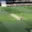 Australia’s 2026–27 Cricket Summer: England ODIs, Four New Zealand Tests and the MCG 150th