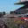 Melbourne Cup 2026: Key Dates, Prize Money and How the Field Is Decided