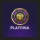 Playfina Casino