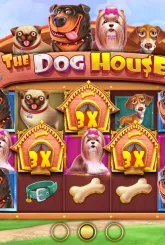 The Dog House